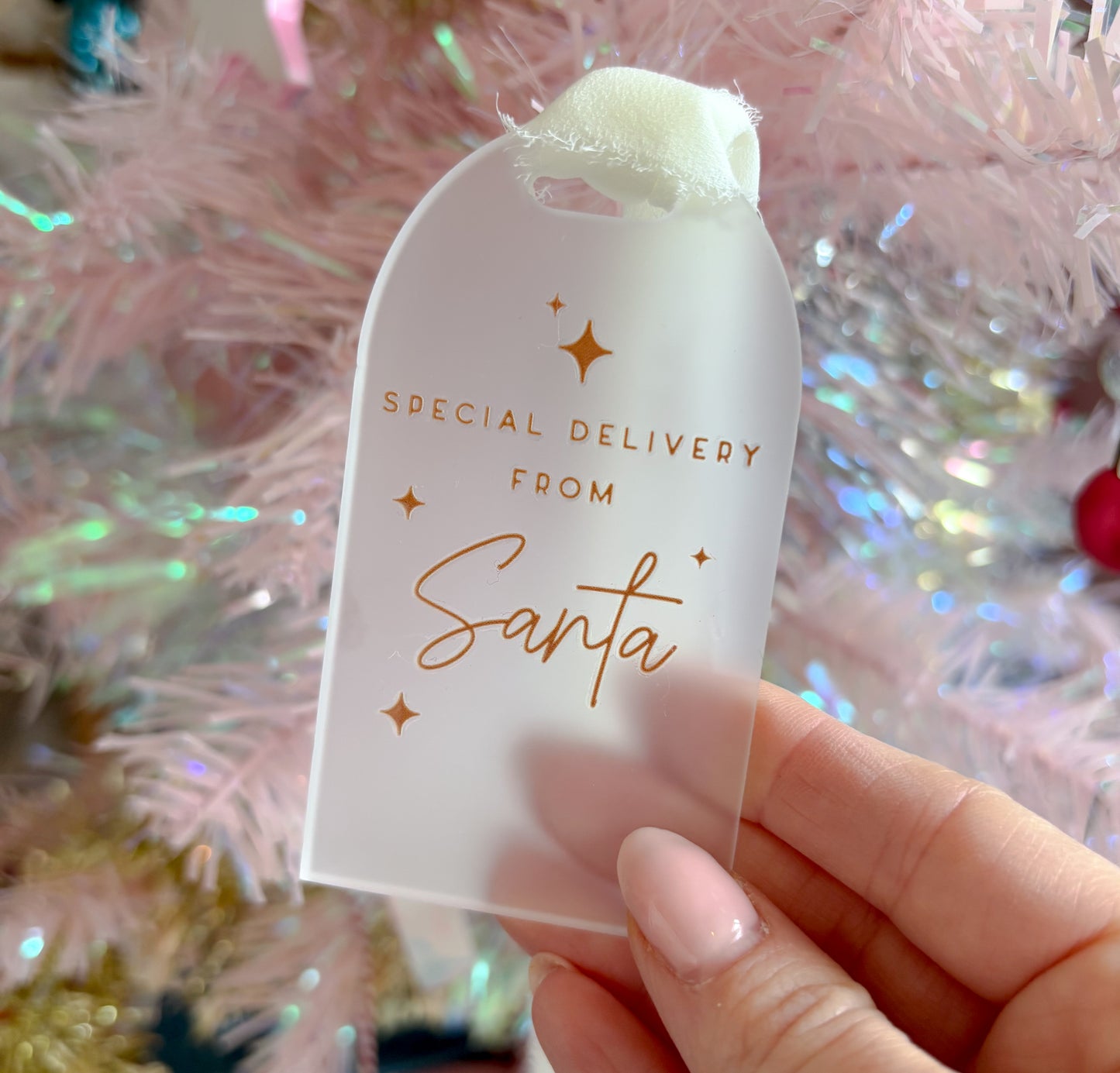 Special Delivery from Santa/Father Christmas gift tag