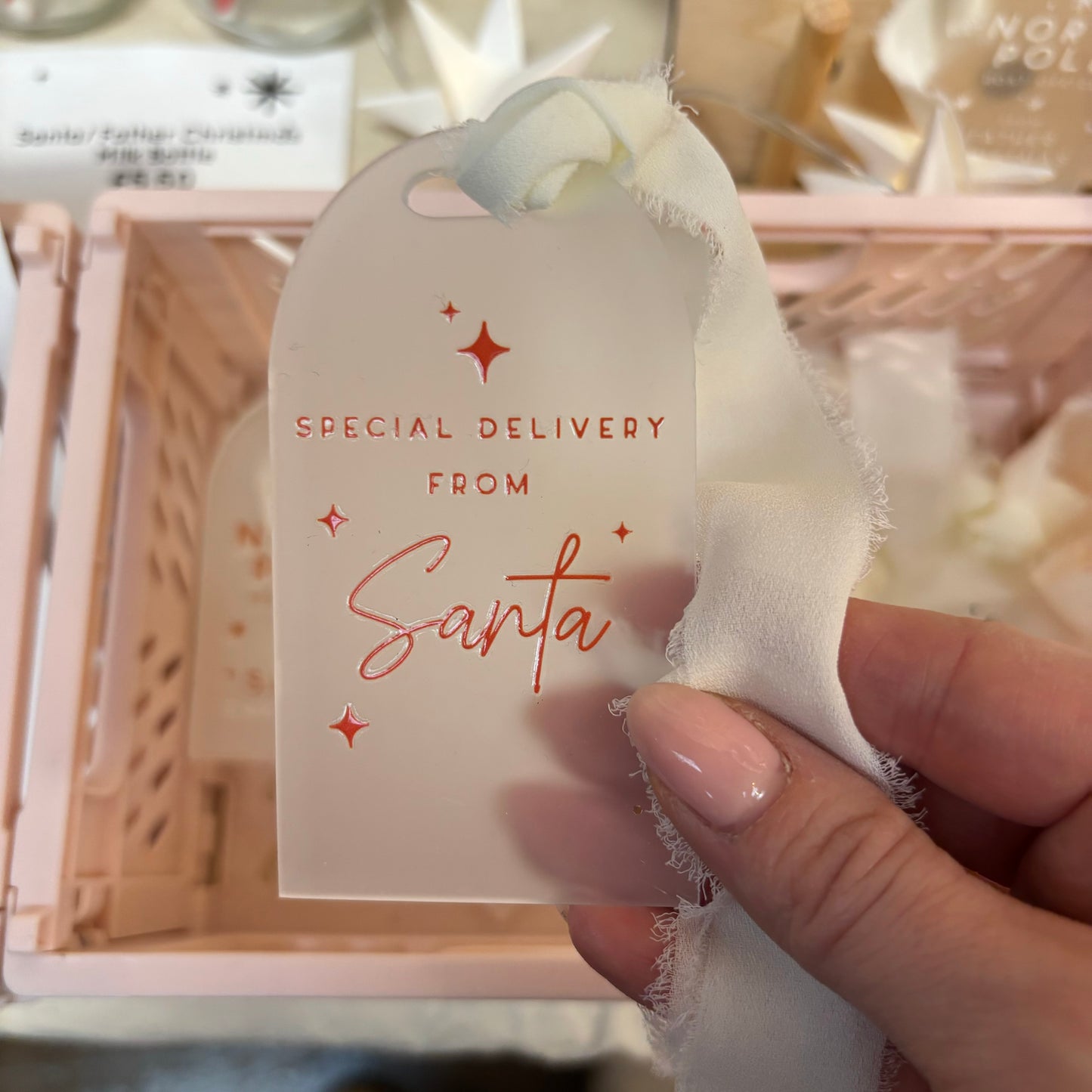 Christmas Ready To Ship Items - Special Delivery Gift Tag