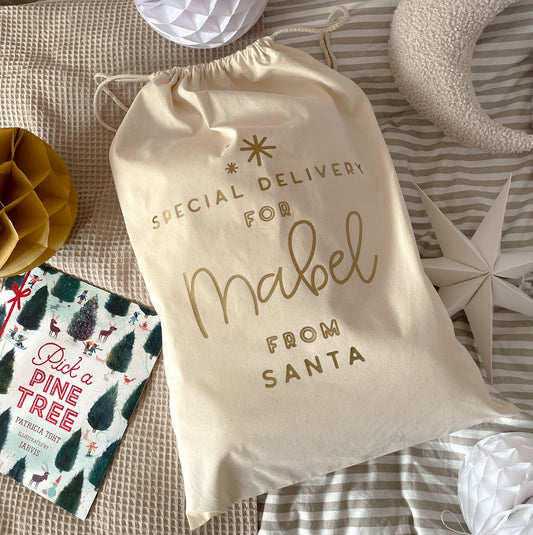 Special Delivery For Storage Sack