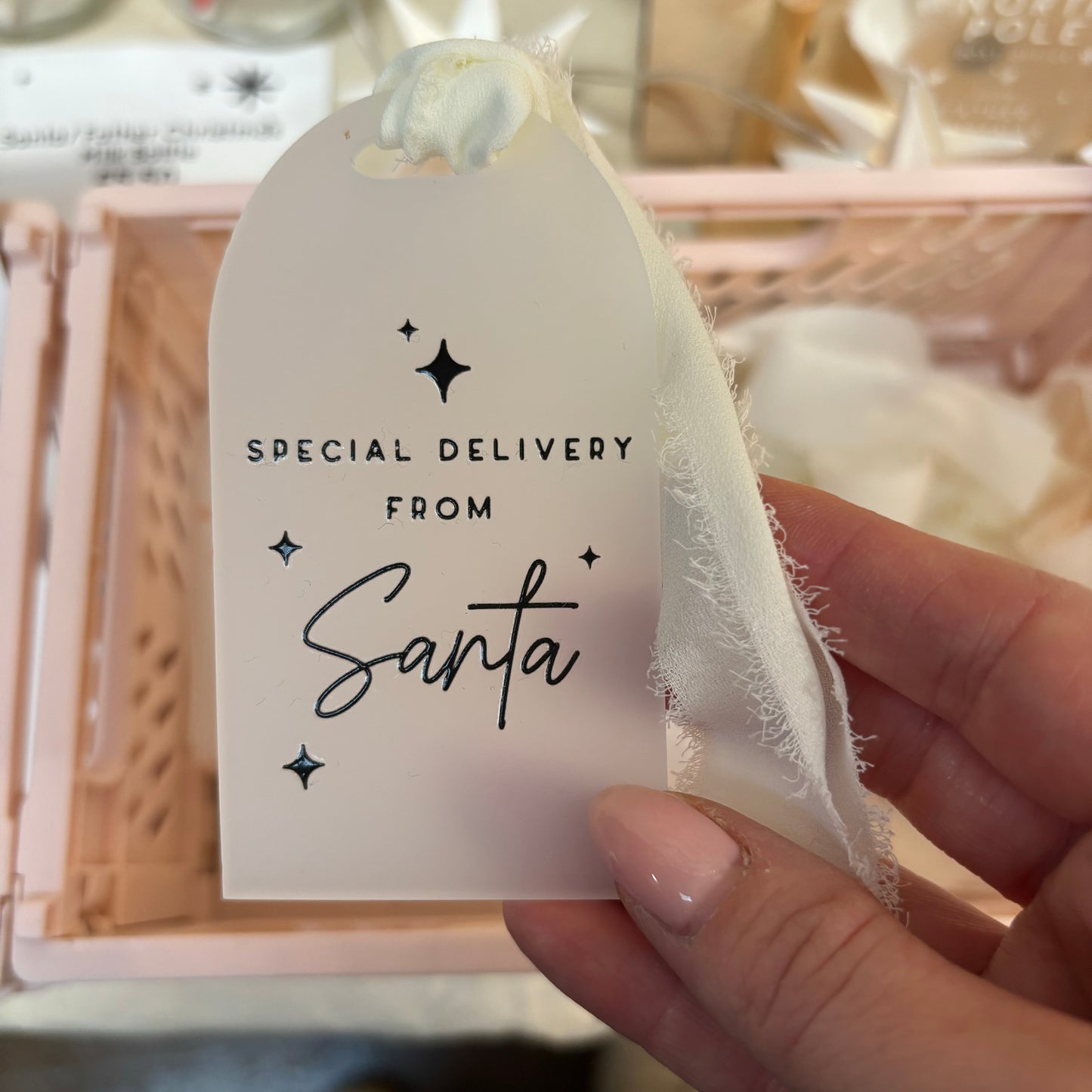 Christmas Ready To Ship Items - Special Delivery Gift Tag