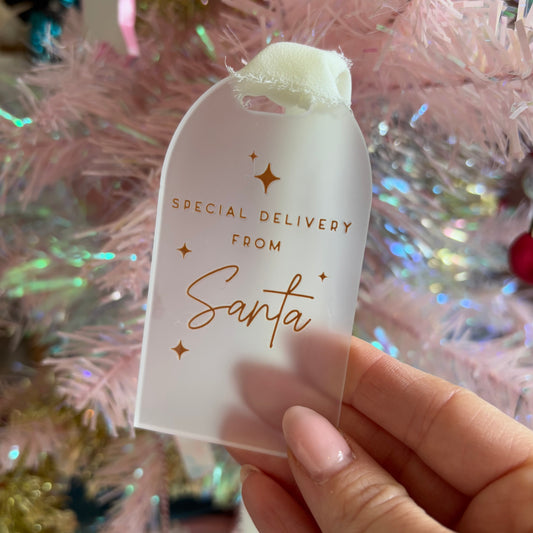 Christmas Ready To Ship Items - Special Delivery Gift Tag