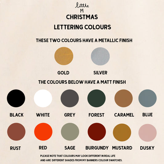 Santa Stop Here Pennant Flag