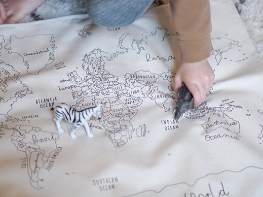 Small World Map Fabric Wall Hanging 68x46cm now with eyelet option